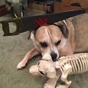 Meet your Posher, Vicky